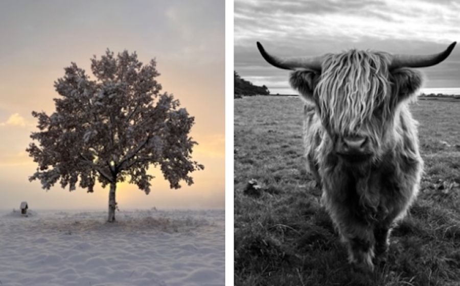 Mit dem Handy die Welt festhalten – Bessere Alltagsfotos leicht gemacht – Fotografie in Oberes Freiamt