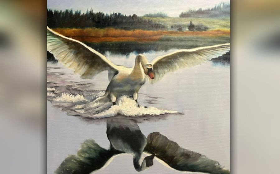 Schwan (Zweitageskurs, 60×60) – Malen & Zeichnen in Haslen