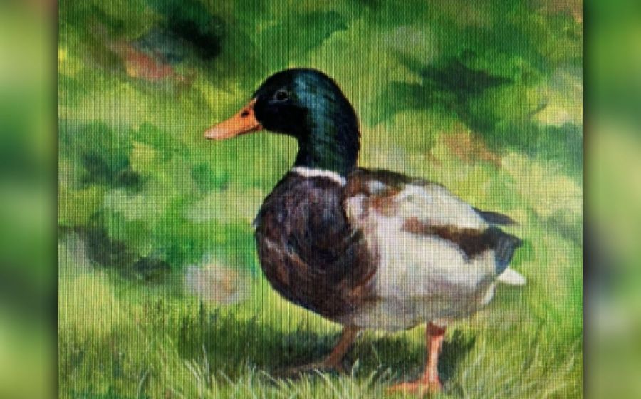 Stockente (40×50) – Malen & Zeichnen in Haslen
