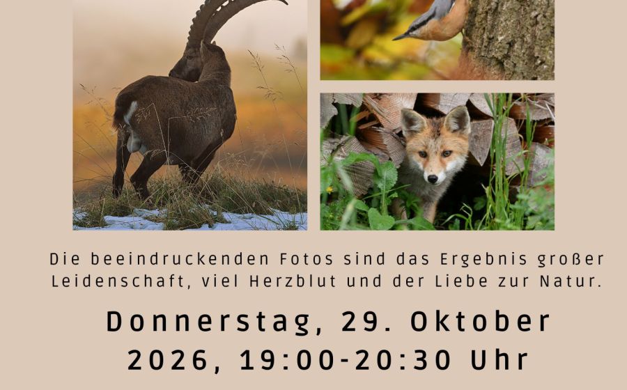 Wildtierfotografie – Fotografie in Langnau i.E.