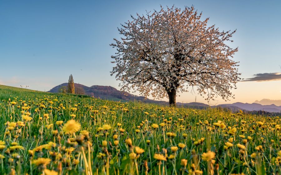 Herbst im Baselbiet – Fotografie in Baselbiet