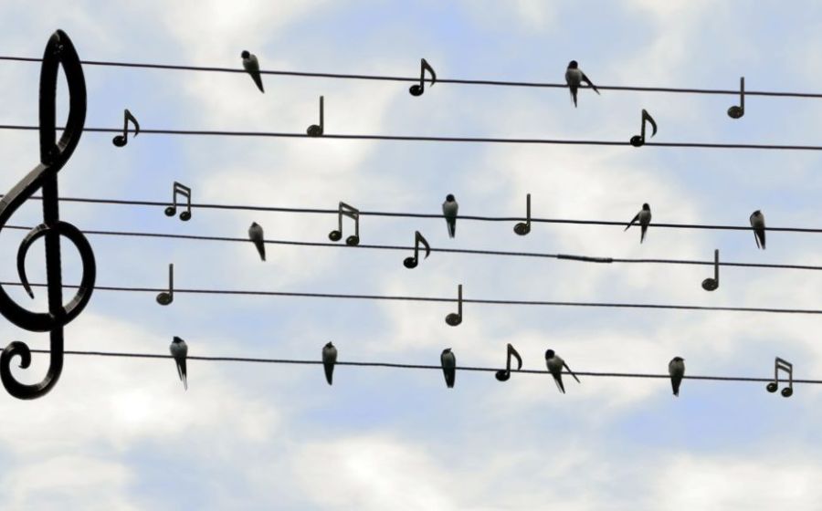 La chorale Chant'Avivo – Musik & Tanz in Genève