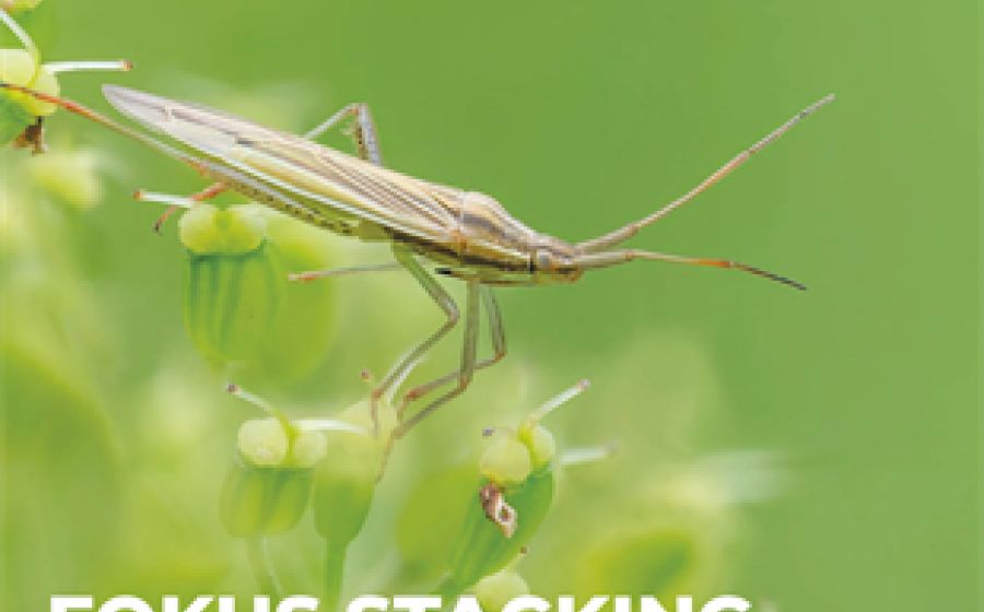 Workshop N740 Fokus Stacking – Fotografie in Luzern