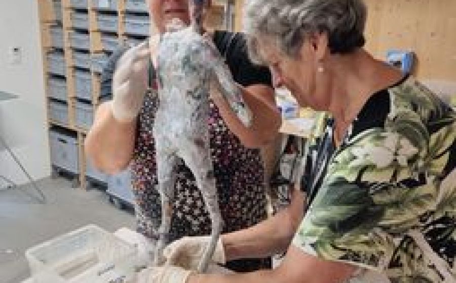 Figuren und Objekte aus Papier – Handwerk & DIY in Uznach