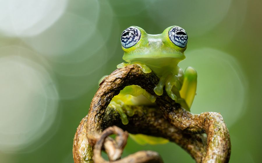 Fotografie Grundlagenkurs – Fotografie in Wil