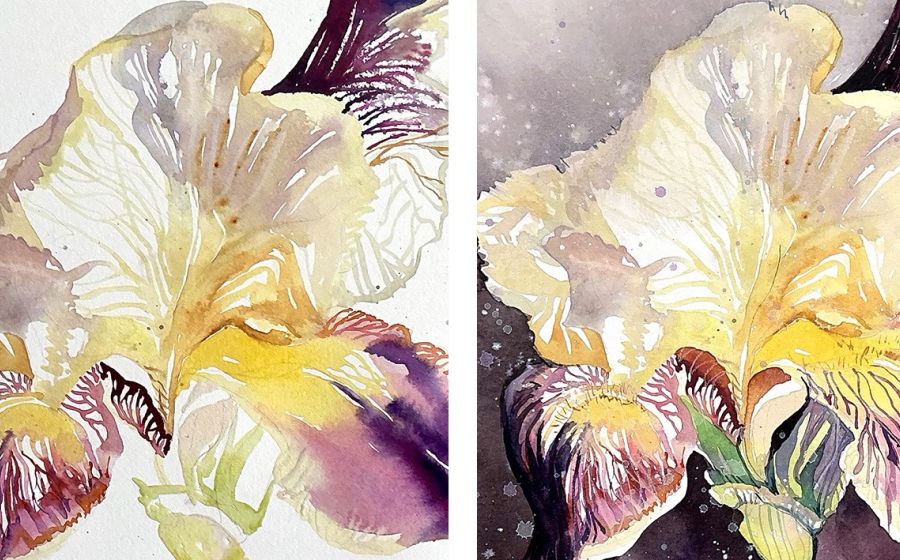 Aquarellkurs: Schwertlilie – Malen & Zeichnen in Wil