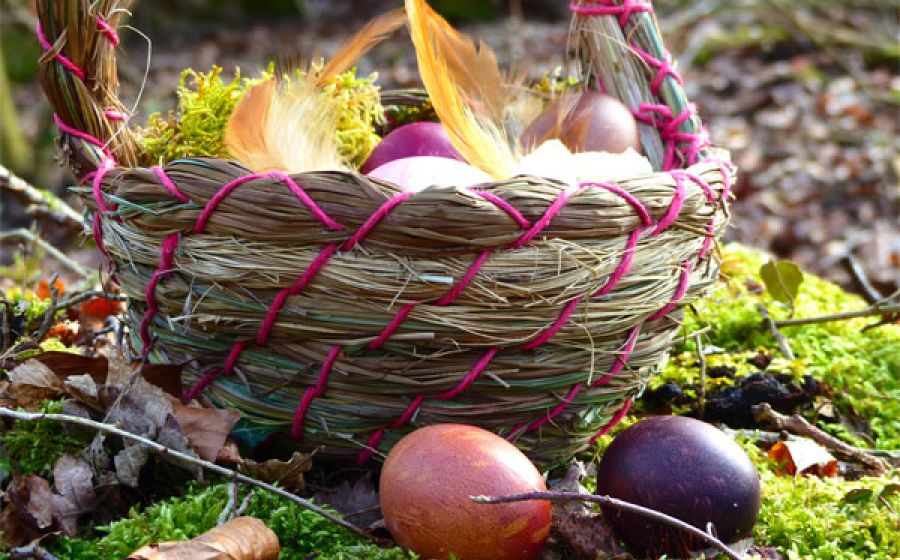 Osterkorb aus Gräsern & Kräutern: Korbwickeln mit Herz – Handwerk & DIY in Wil