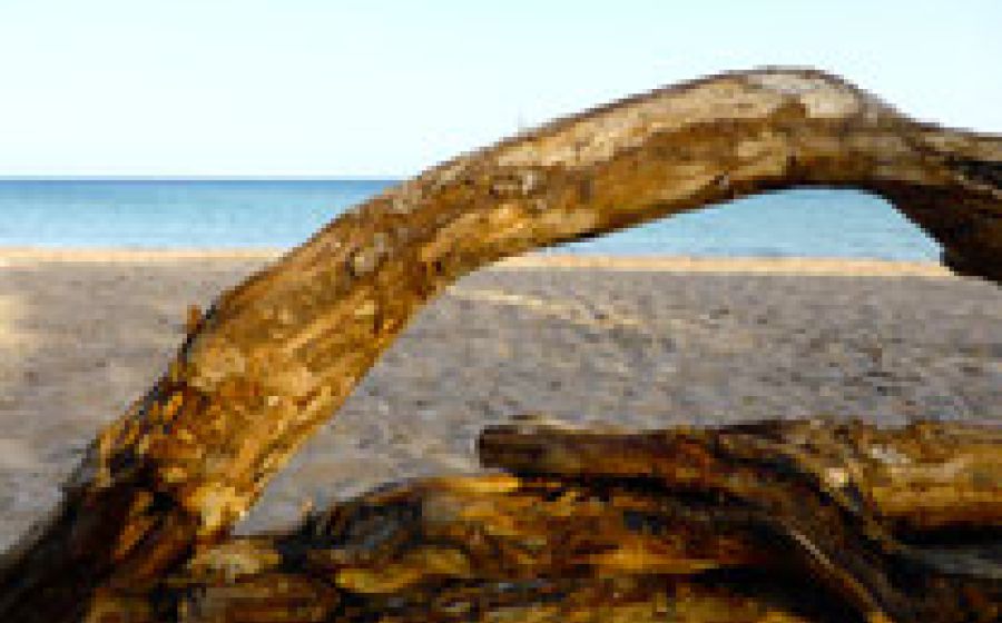 Malkurse in Koroni (Griechenland) – Malen & Zeichnen in Koroni (GR)