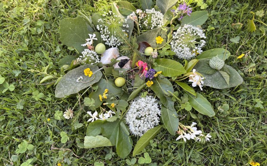 Creatività e Natura – Atelier creativo per bambini – Handwerk & DIY in Bellinzona