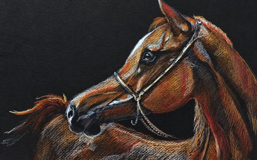 Cheval aux crayons sur papier noir – Malen & Zeichnen in Zürich