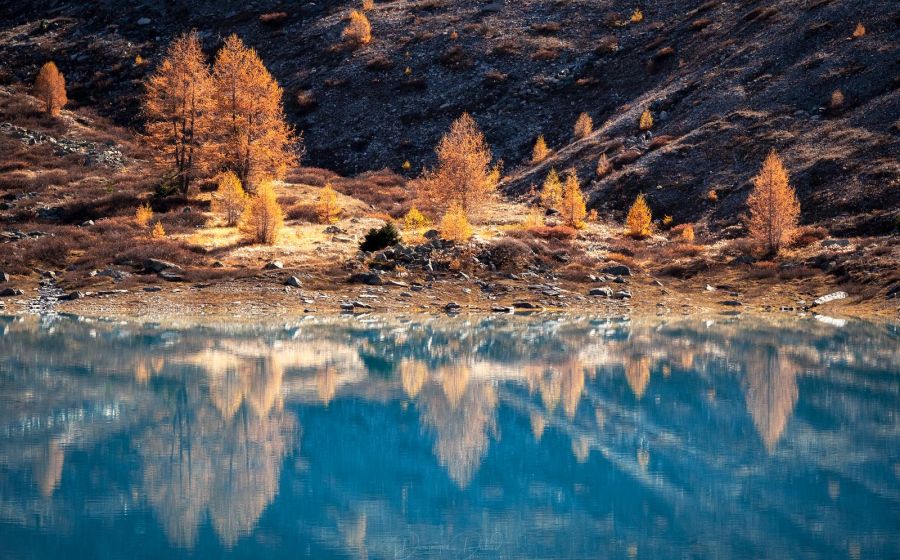 Automne dans le val de Tourtemagne – Fotografie in Turtmanntal
