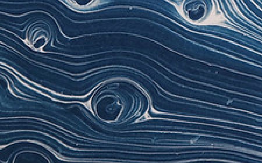 Ateliers cyanotypes – Fotografie in Sierre