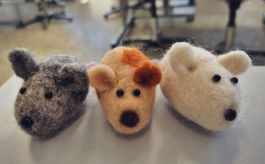 Mäusefilzen – Handwerk & DIY in Hinteregg (Egg b. Zürich)