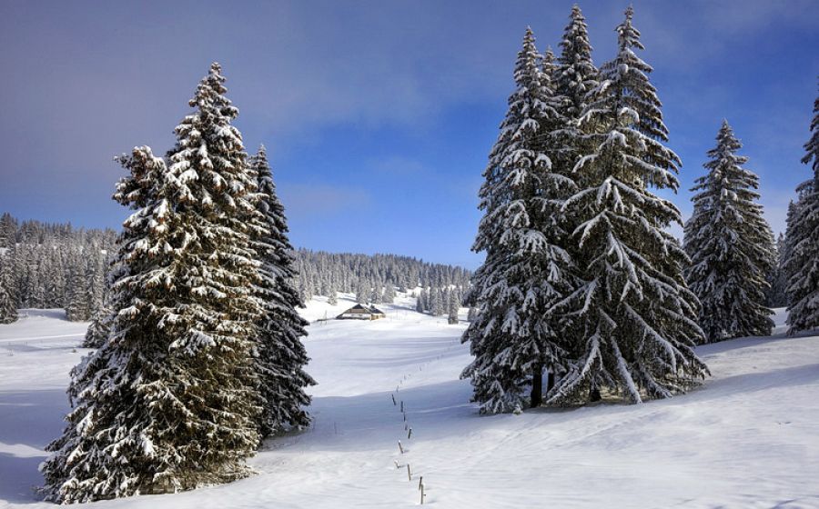Fotokurs «Winterlandschaft Jura» – Fotografie in Jura