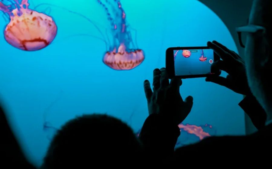 Video-Produktion mit dem Handy – Digitale Kunst in Zürich