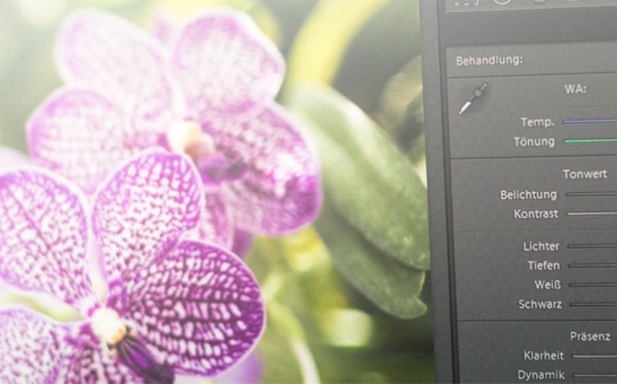 Adobe Lightroom Workflow – Einführung – Digitale Kunst in Zürich