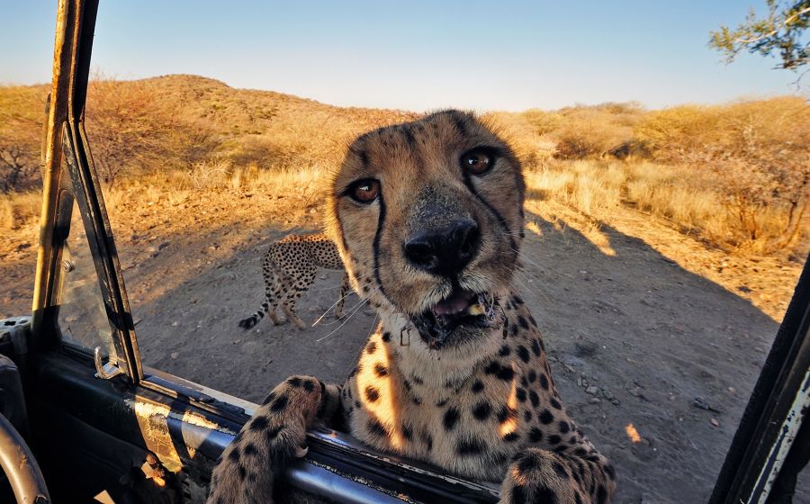 Tier- und Naturfotografie – Fotografie