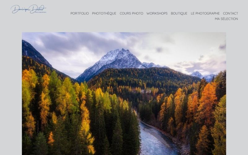 Vorschau der Webseite von Dominique Dubied Photographies (cours photo)