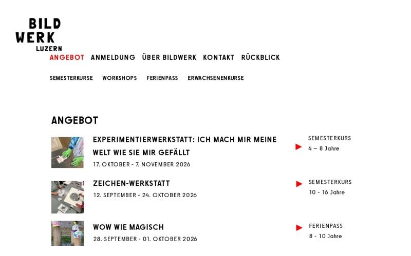 Vorschau der Webseite von BildWerk Luzern