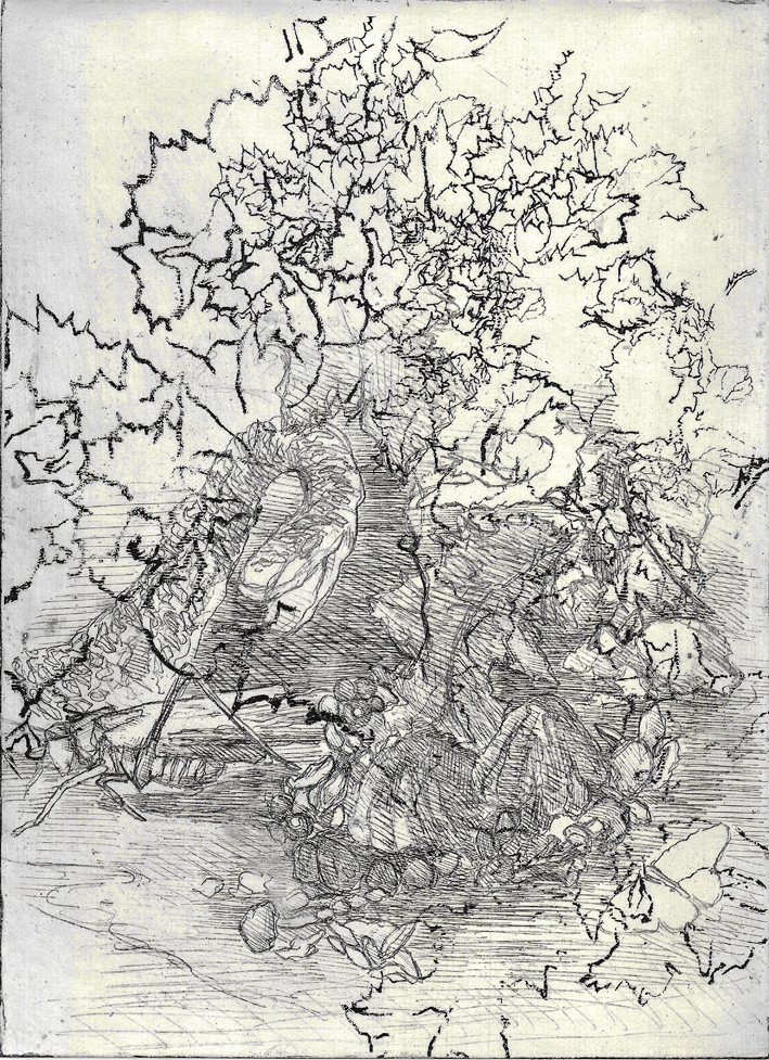 Geheimnis des Waldboden Abendkurs: Manuelle Drucktenikenmau – Druck, Grafik & Illustration