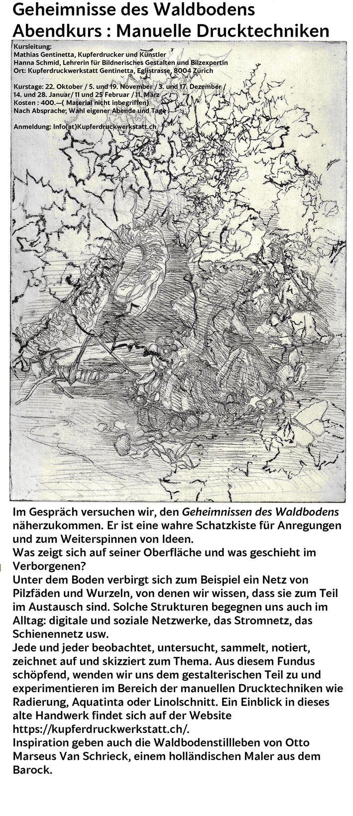 Weiteres Bild zum Kurs Geheimnis des Waldboden Abendkurs: Manuelle Drucktenikenmau
